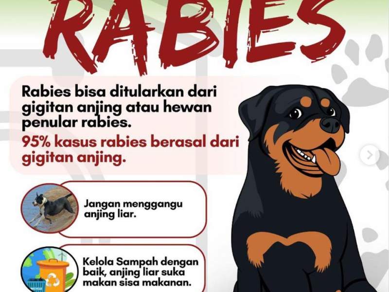 LAPOR RABIES